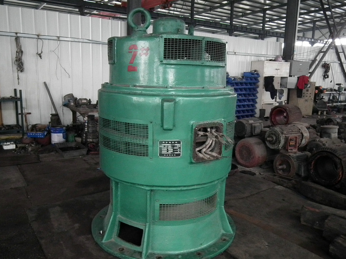 唐山高壓電機(jī)維修